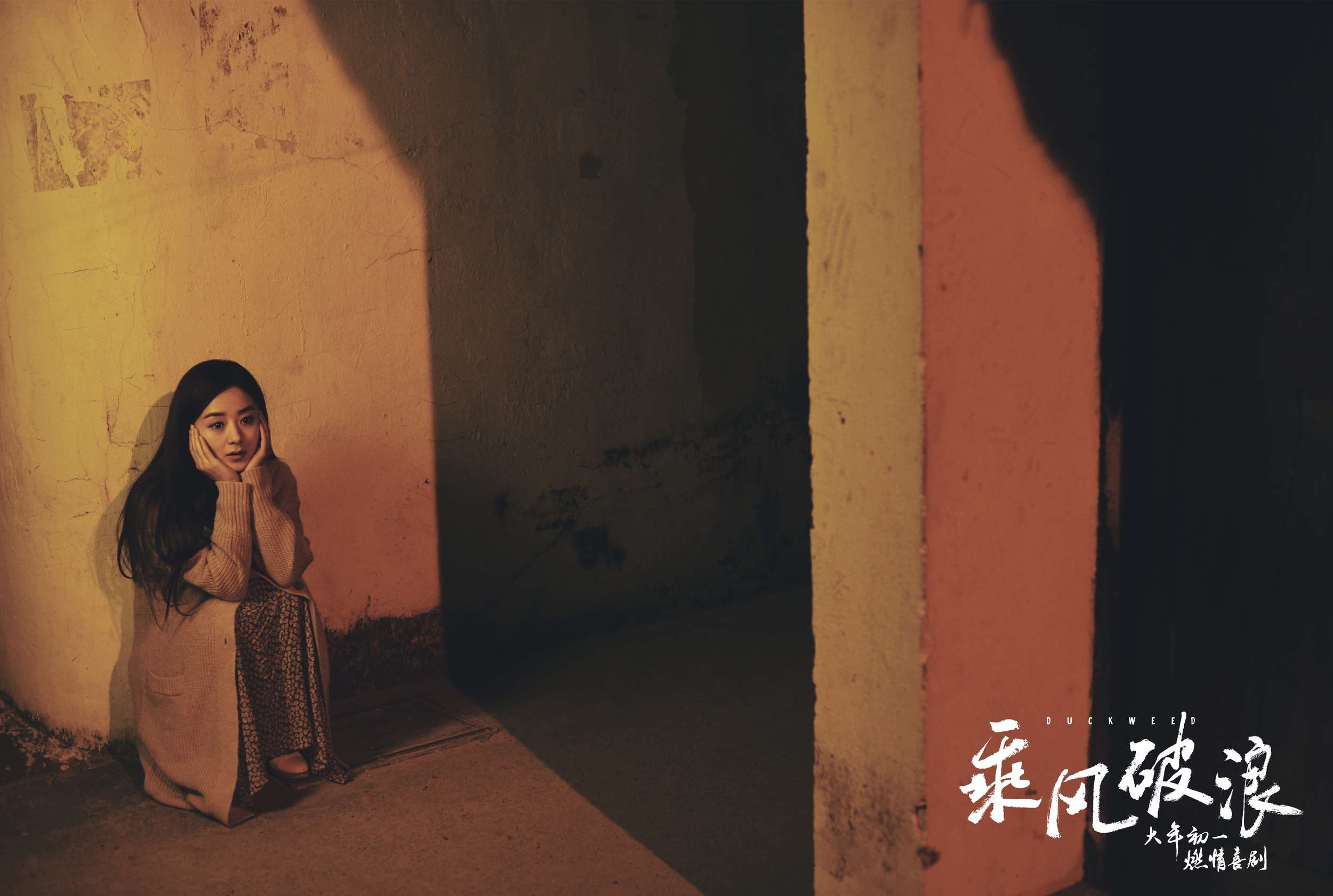 电影乘风破浪赵丽颖小花高清剧照