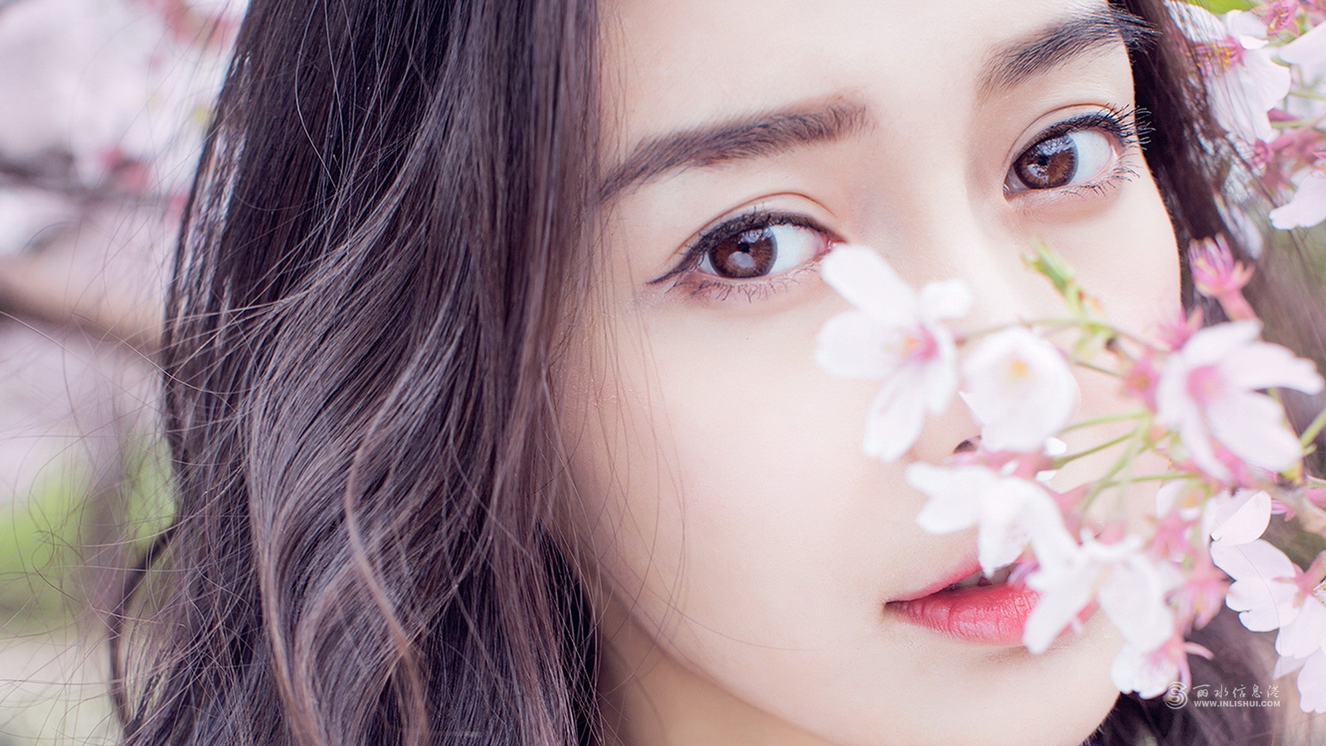 女明星靓丽气质高清壁纸