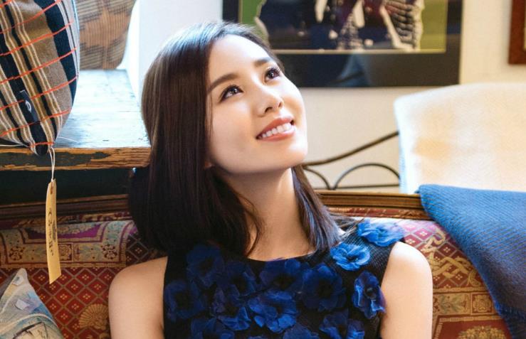 女神刘诗诗图片