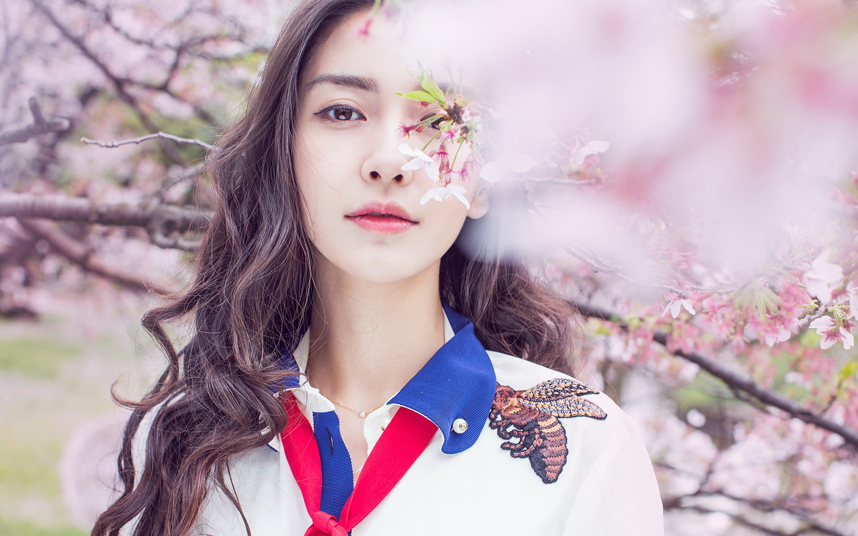 杨颖气质淑女范高清壁纸大全