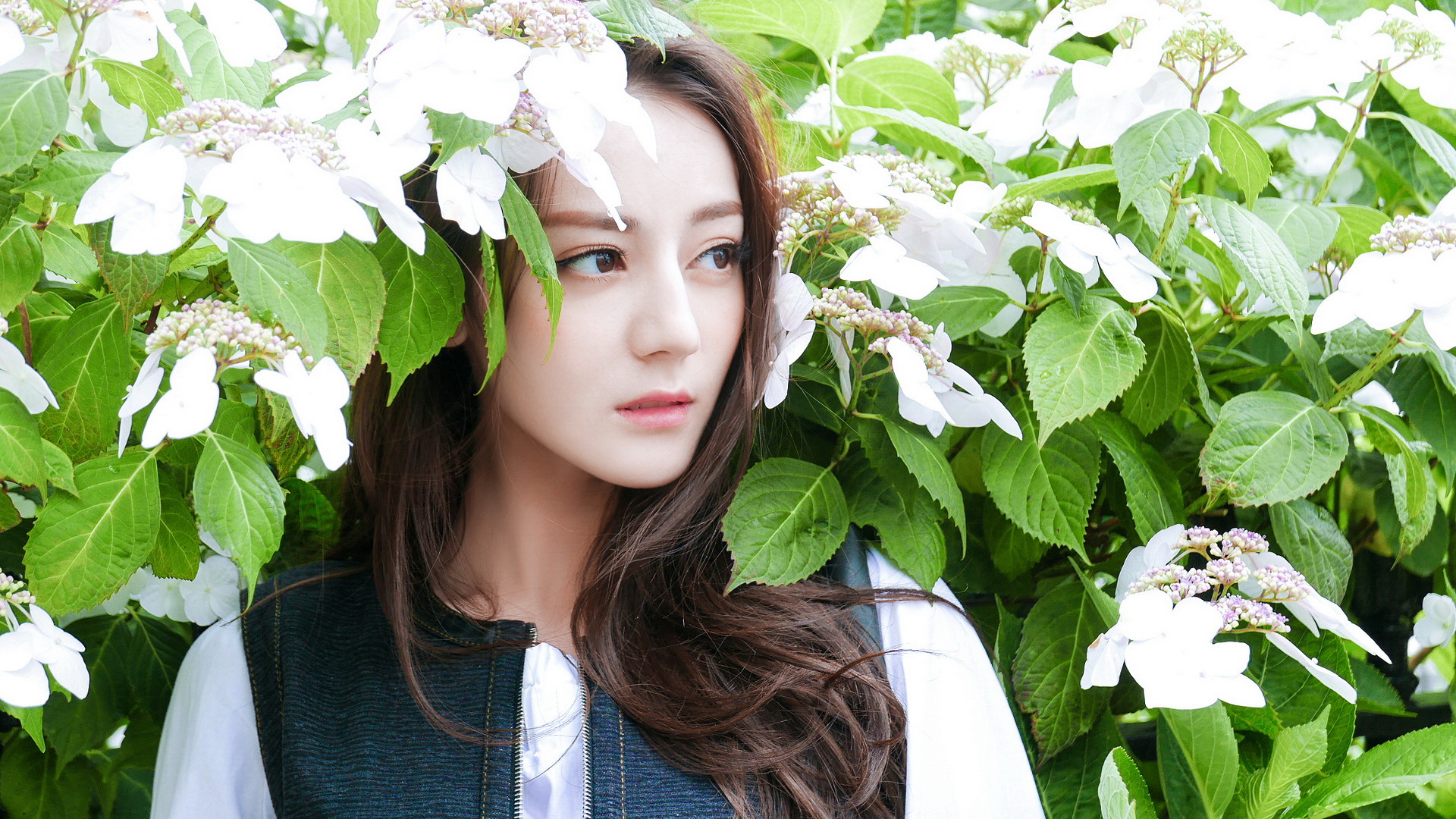 气质美女迪丽热巴写真壁纸