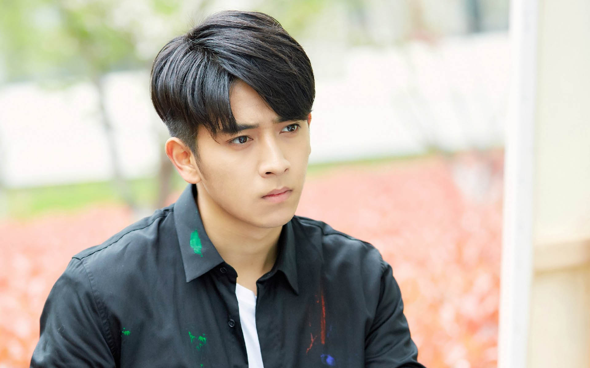 路从今夜白之遇见青春高清剧照