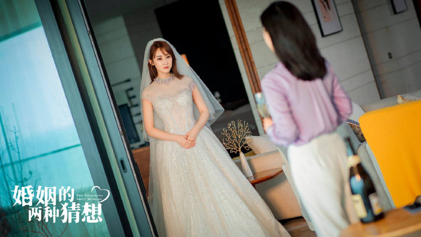 电视剧《婚姻的两种猜想》高清剧照