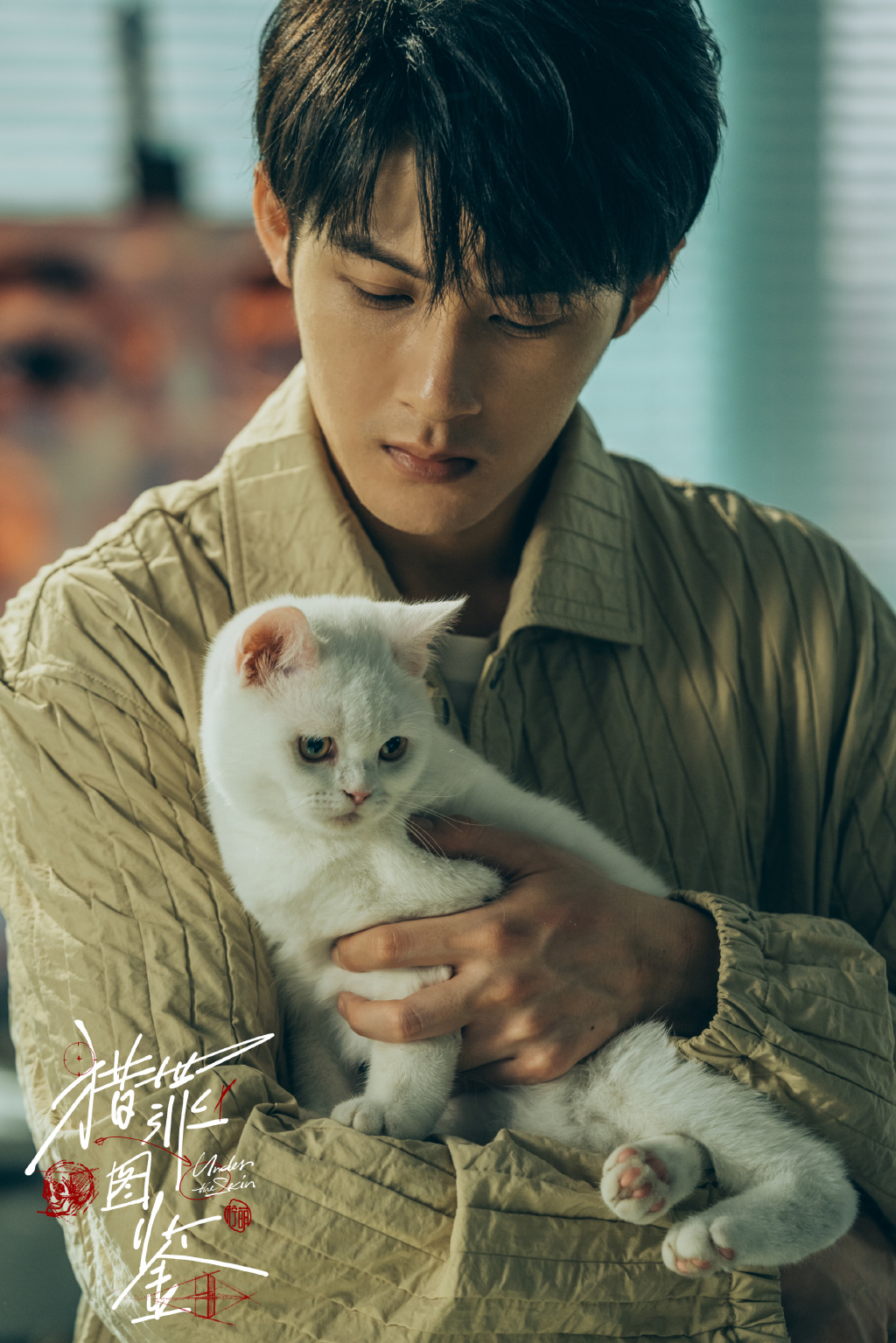 热播剧《猎罪图鉴》沈翊人物剧照图片