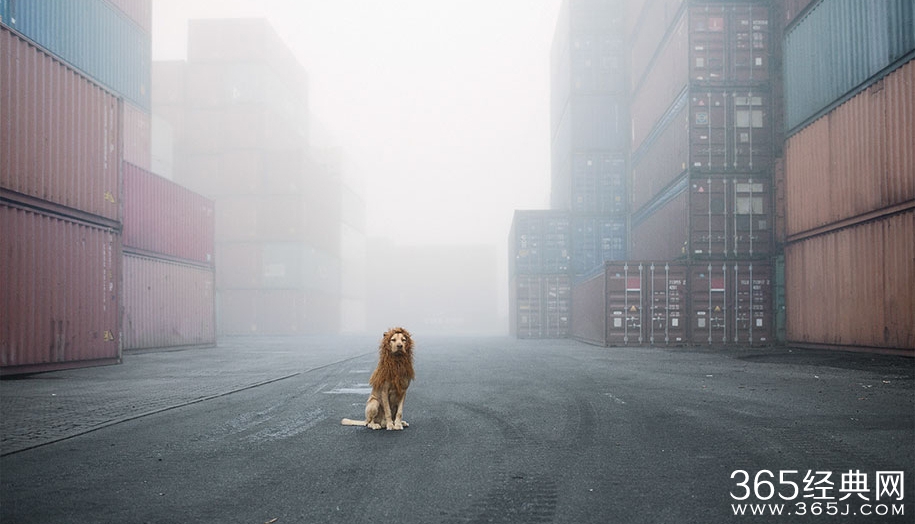 人生陷入困境后，请牢记这几句话