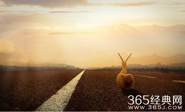 让你惊醒的24句经典语录