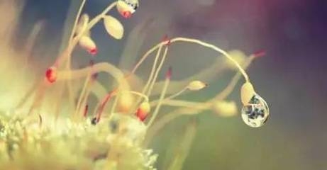 24句经典语录：人生是一种选择，要么忙于生存，要么赶着去死