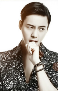 香港小生，二爷-陈伟霆